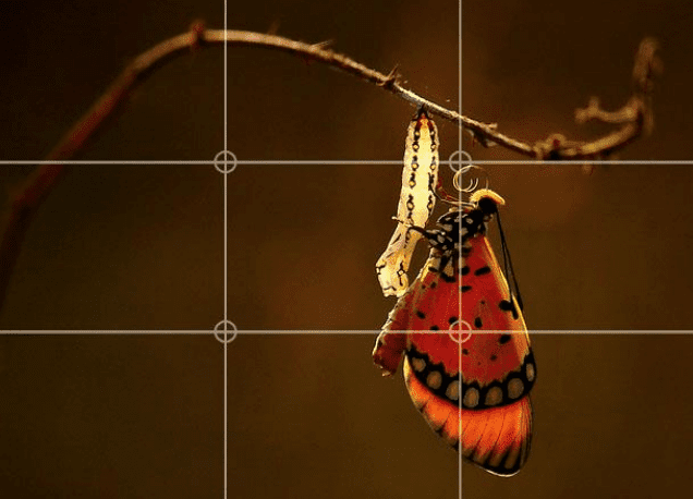 Rule of Thirds for Authentic Instagram Content