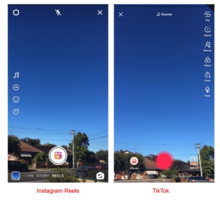 Instagram Reels vs TikTok visual comparison