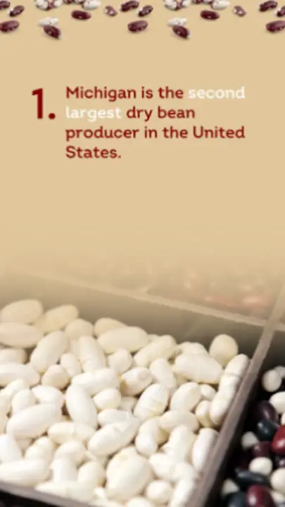 beans-2-new